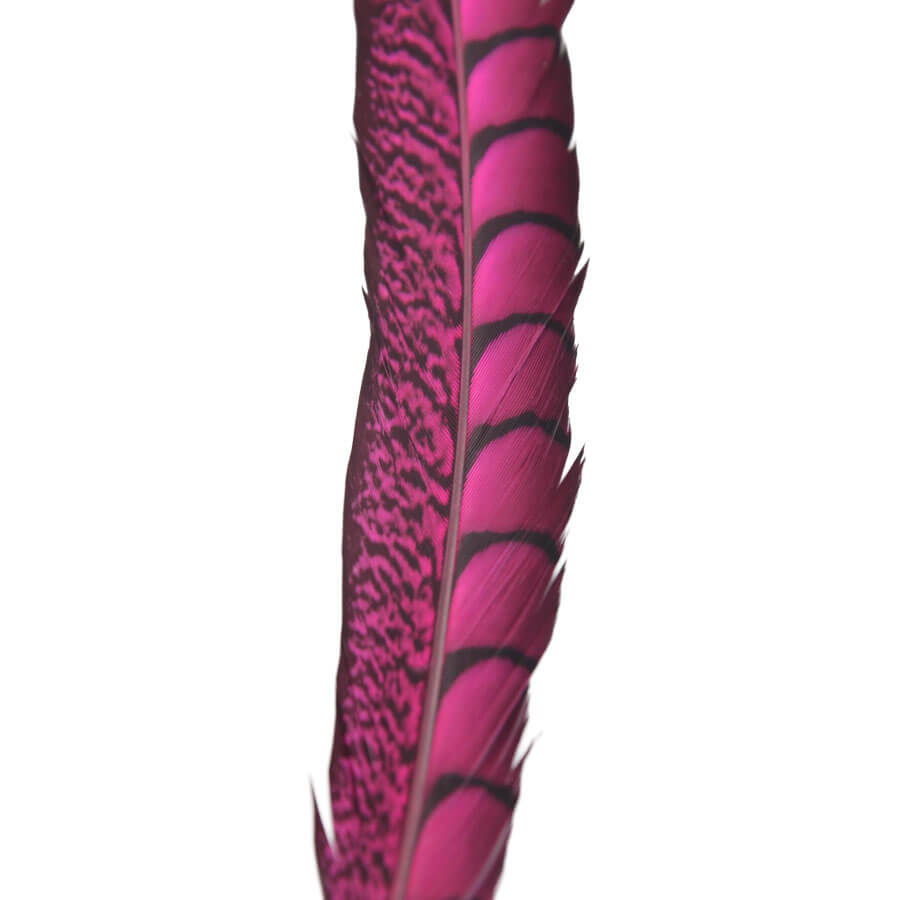 Pluma Faisán 10 unidades 60cm -varios colores - Imagen 9