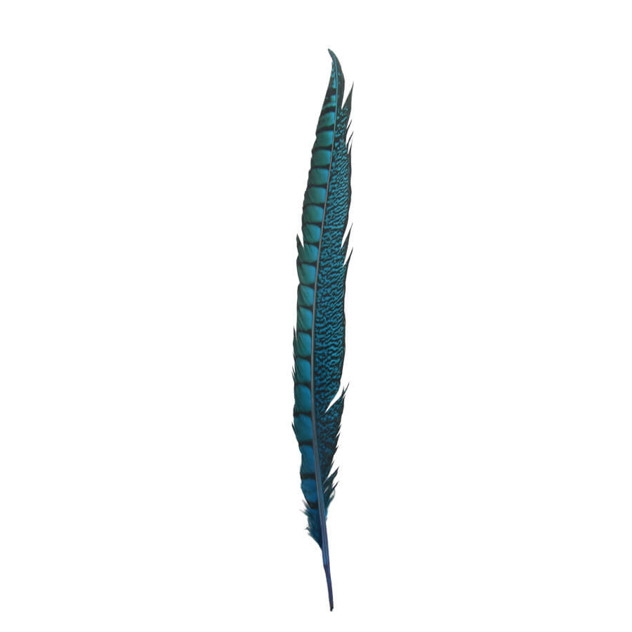 Pluma Faisán 10 unidades 60cm -varios colores - Imagen 18