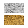 Tela de Lentejuela 3D sobre Licra Ancho 1,50 m - Thumbnail Image 1